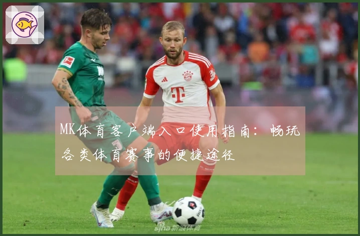 MK体育客户端入口使用指南：畅玩各类体育赛事的便捷途径