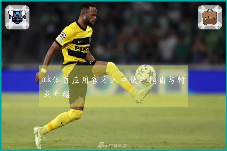mk体育应用官方入口使用指南与特点介绍