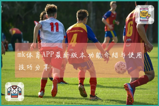 mk体育APP最新版本功能介绍与使用技巧分享