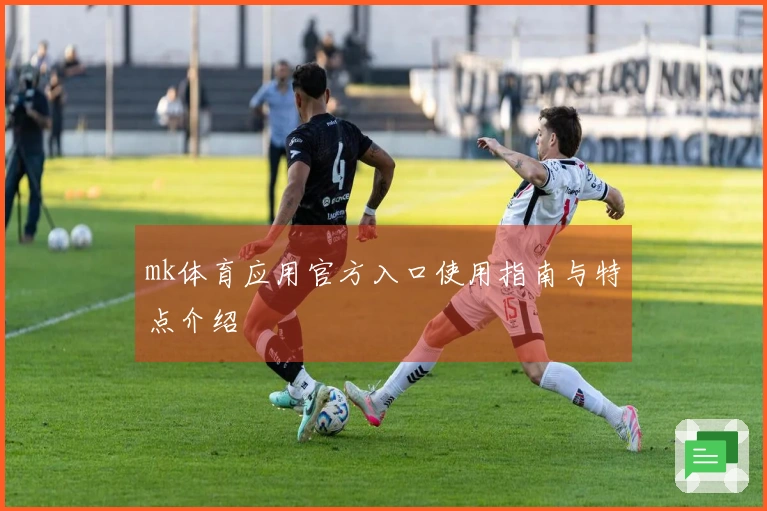 mk体育应用官方入口使用指南与特点介绍