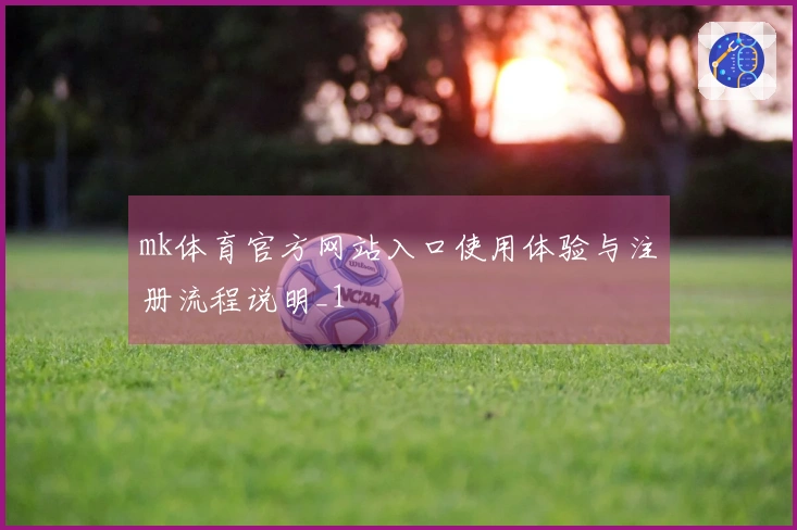 mk体育官方网站入口使用体验与注册流程说明_1